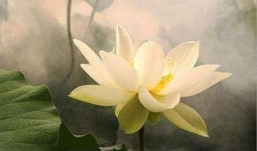 清心為治本，直道是身謀。秀干終成棟，精鋼不作鉤。